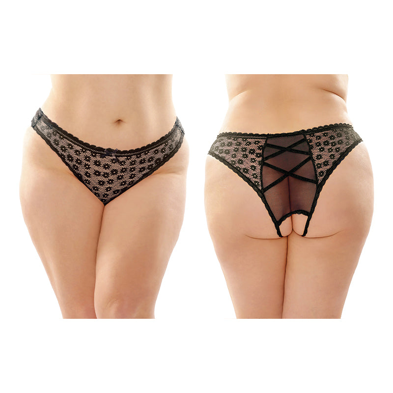 Fantasy Lingerie Daisy Crotchless Panty With Criss-Cross Panel Back 6-Pack Black Queen